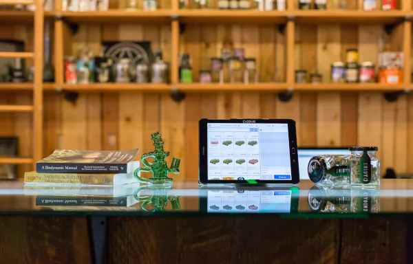 How to boost your cannabis business online