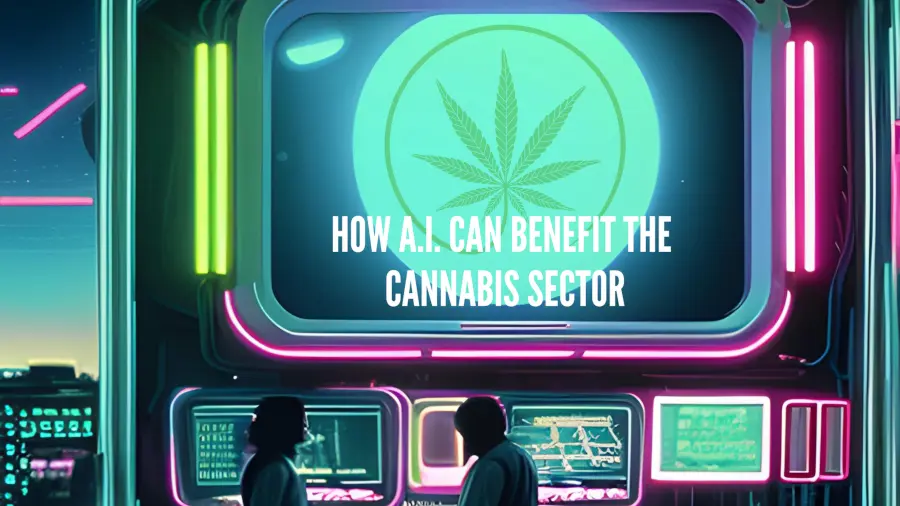 How A.I. Can Benefit the Cannabis Sector