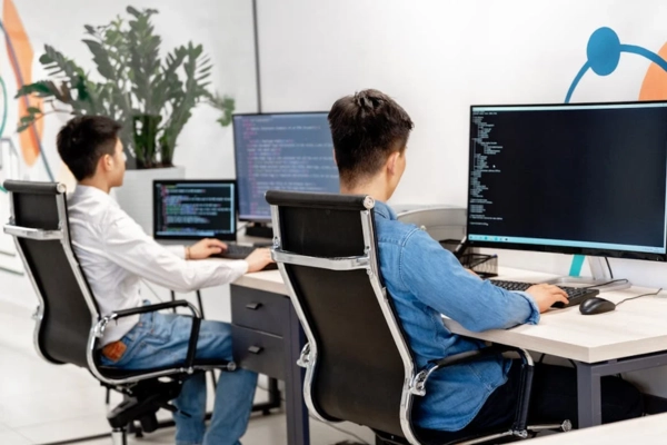 Two developers focused on coding are working side by side