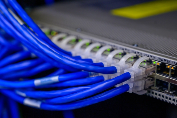 Close-up of network cables connected to a server, representing computing infrastructure